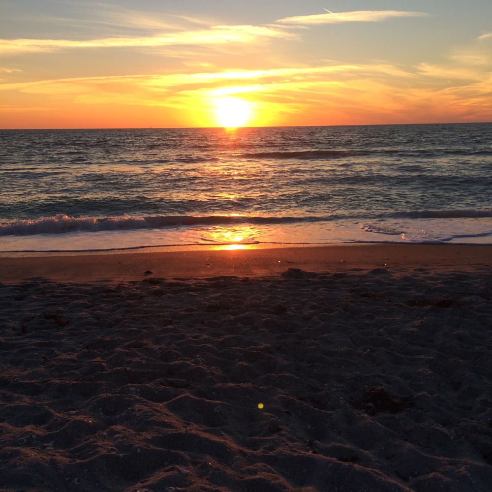 Meet your Posher, Theresa